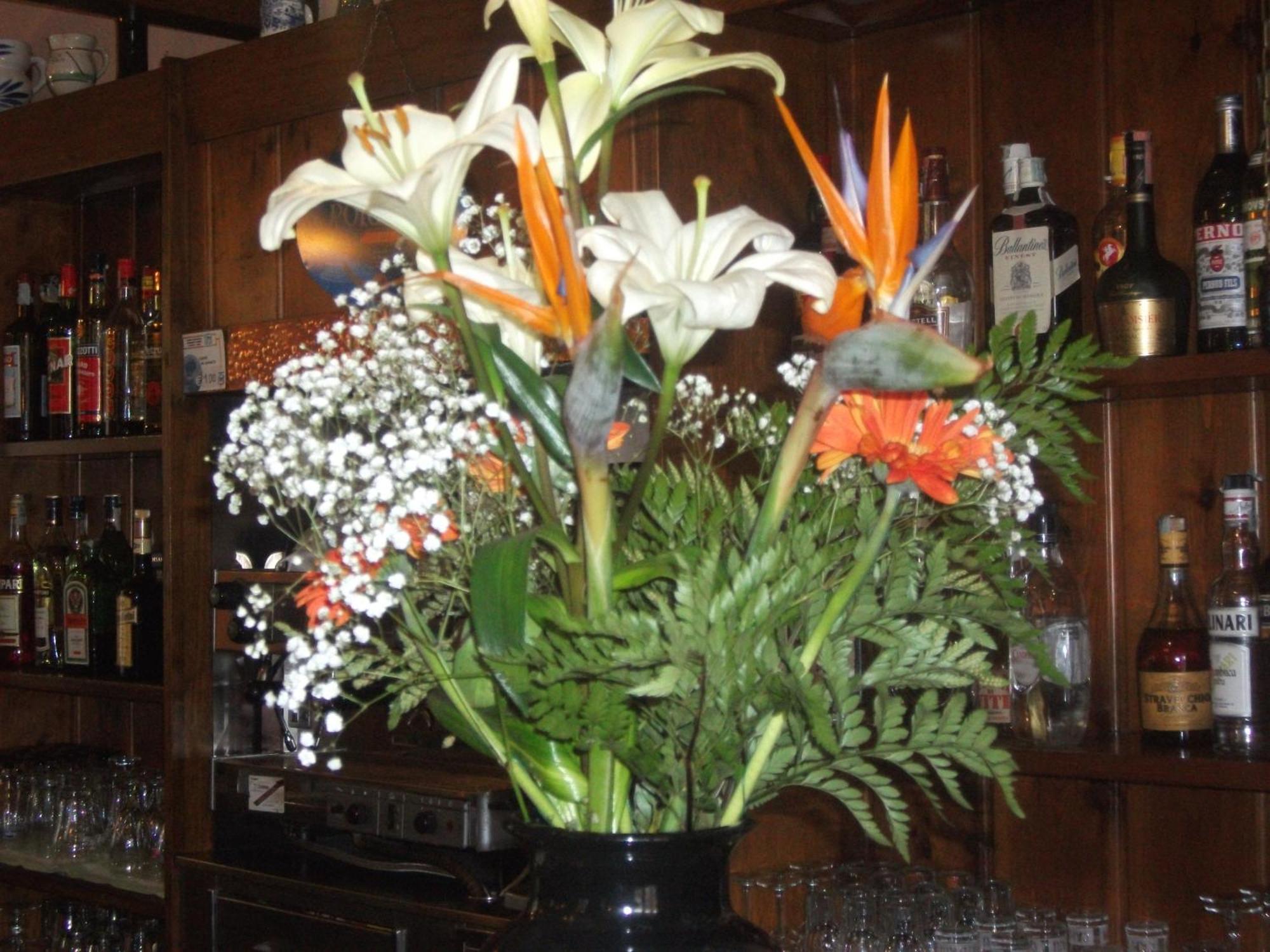 Hotel Breglia Plesio